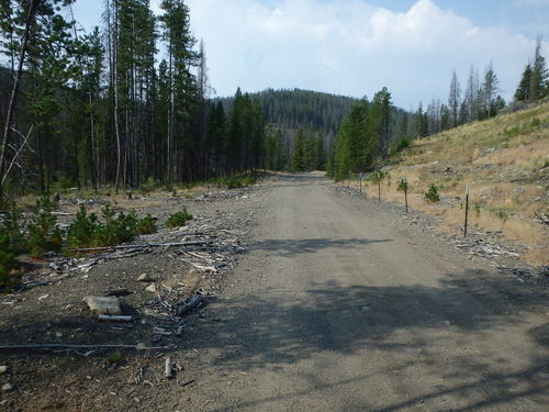 GDMBR: Some timber was cut here.